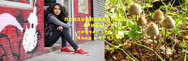 дмт Алексеевка