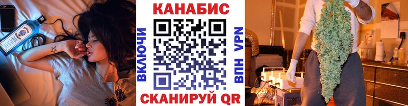Канабис сатива  Нолинск 